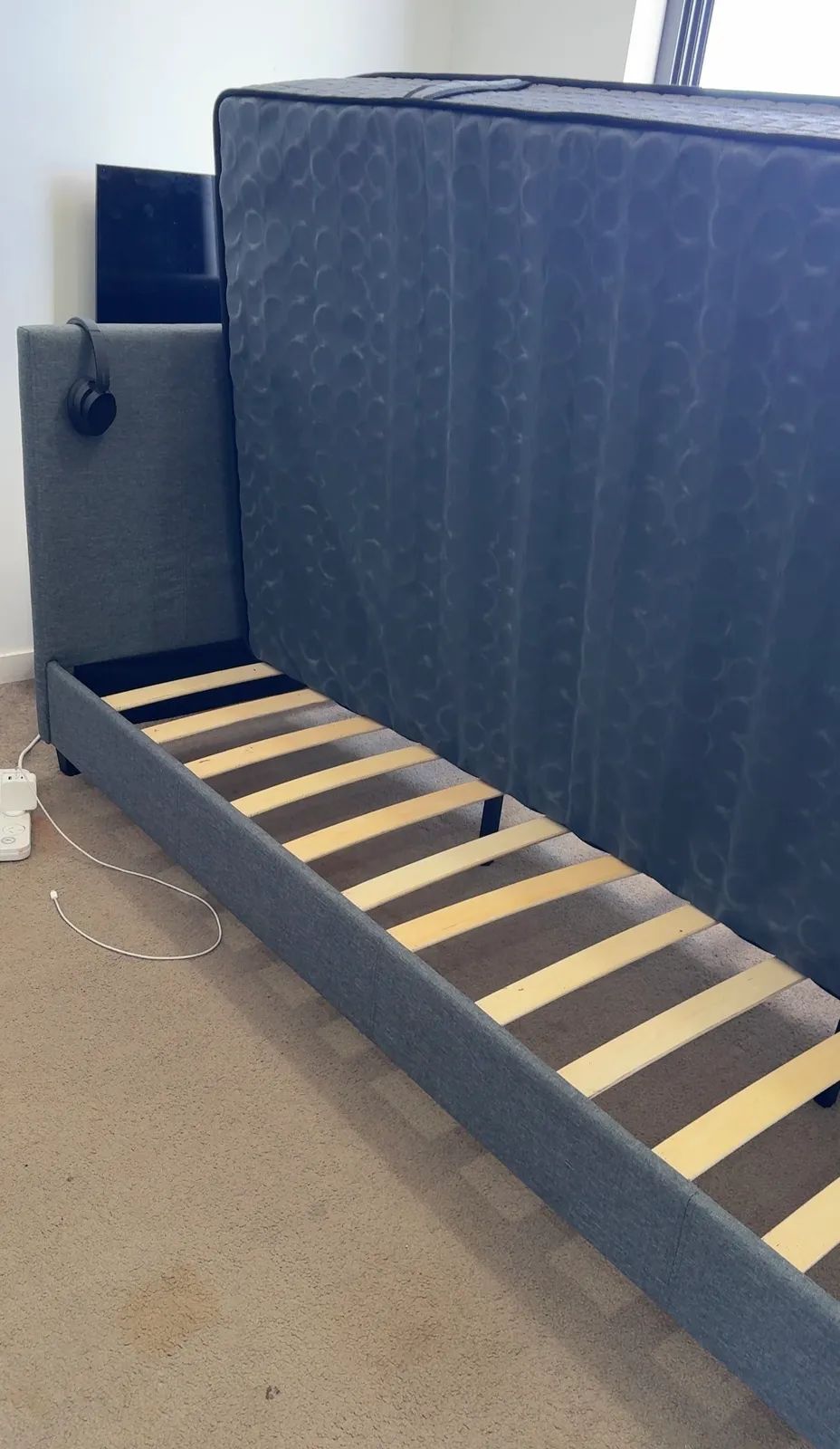 Bedbugs treatment