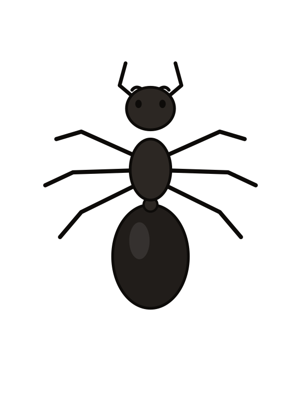 Ants