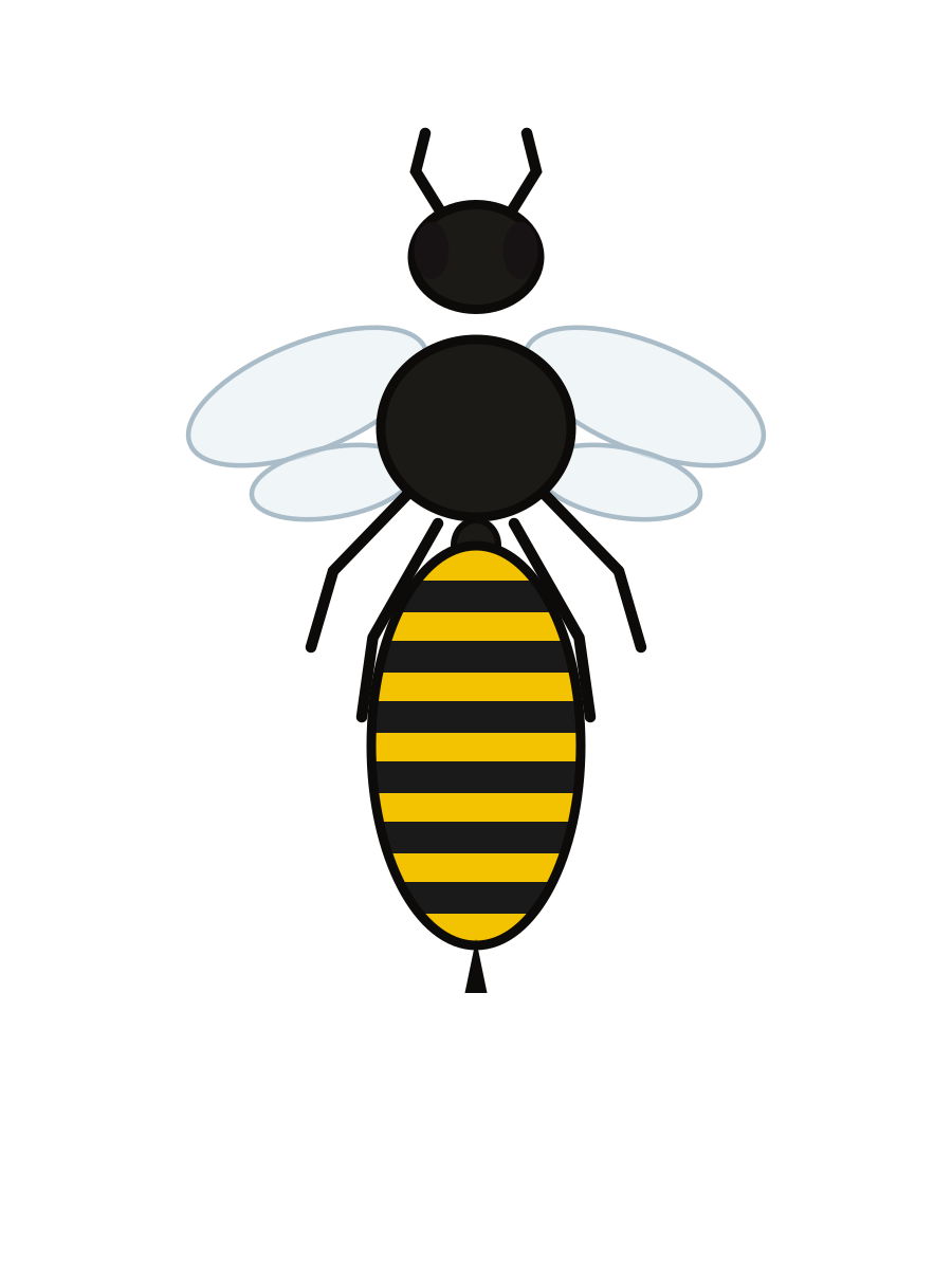 Bees & Wasps