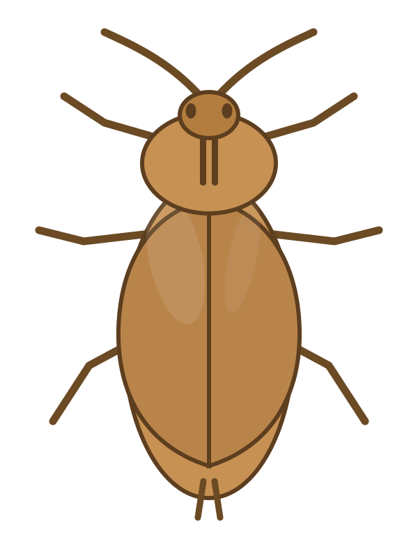 Cockroaches
