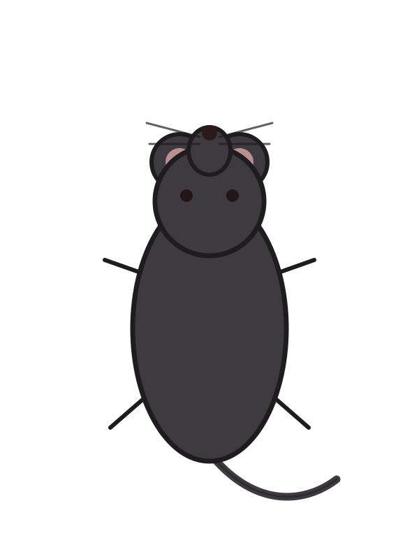 Rodents