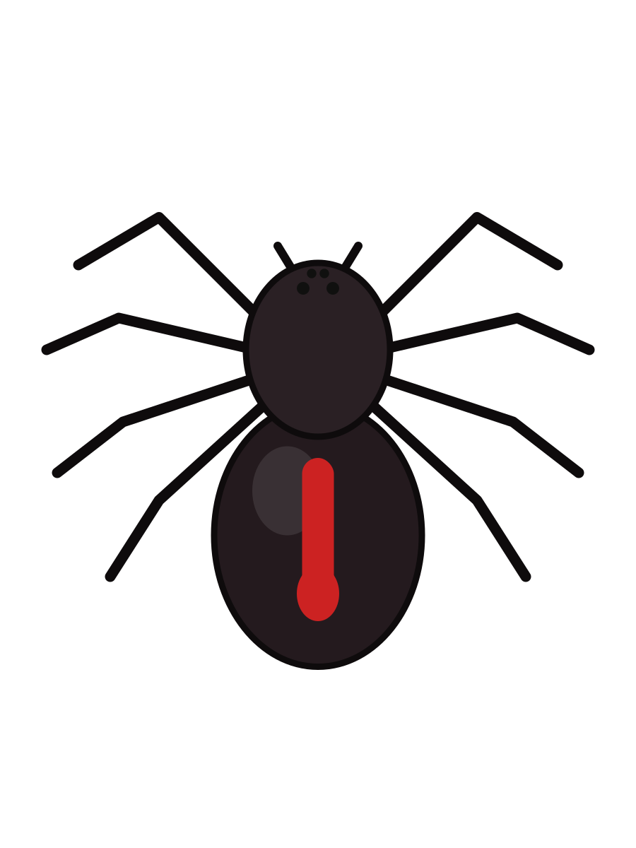 Spider Control