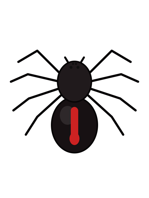 Spiders