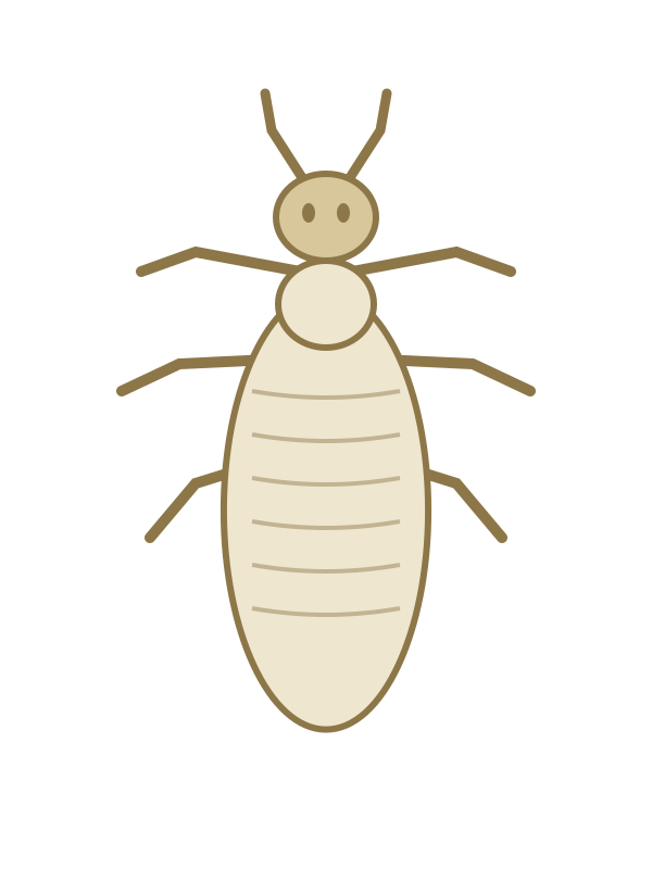 Dampwood Termite