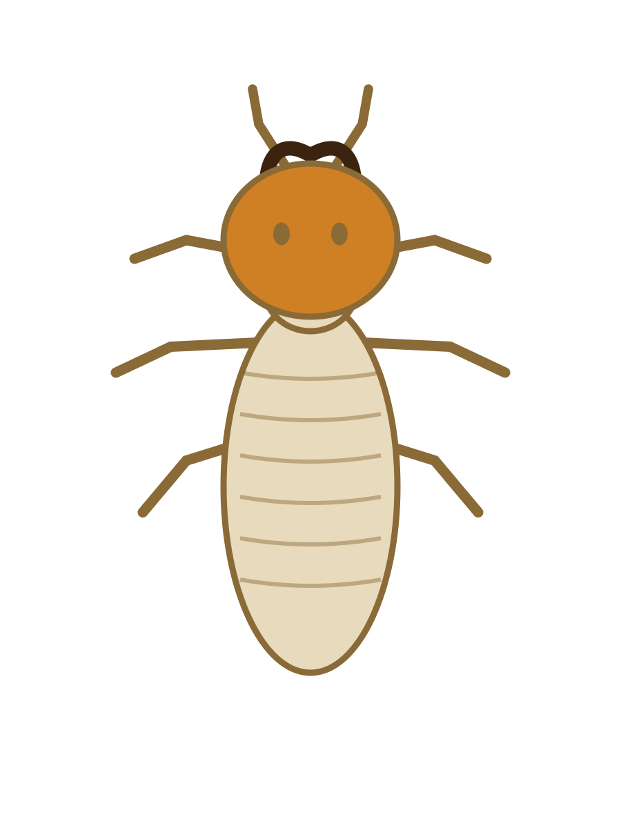 Termite Treatment
